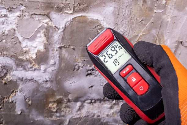 Attic Mold Removal in Lanark, IL