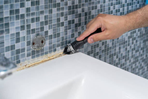 Best Toxic Mold Removal  in Lanark, IL